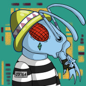 Aptos Ant Club #5243