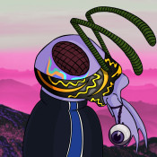 Aptos Ant Club #5292