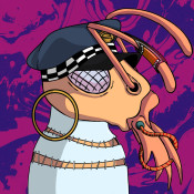 Aptos Ant Club #5367