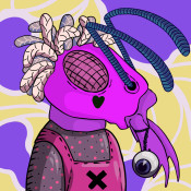 Aptos Ant Club #5495