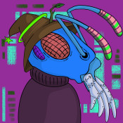 Aptos Ant Club #5524