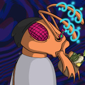 Aptos Ant Club #5604