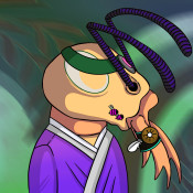 Aptos Ant Club #5784