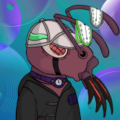 Aptos Ant Club #5974