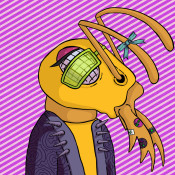 Aptos Ant Club #5997