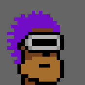 Punk #1329