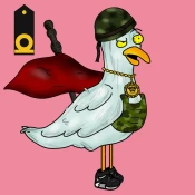 Degen War Seagull #65
