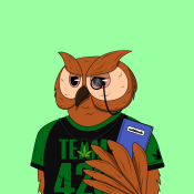 Secret Owl Society #346