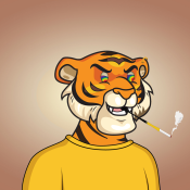 Tiger #1107