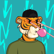 Tiger #0361