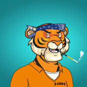 Tiger #0527